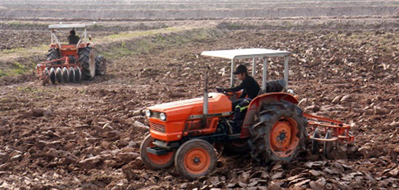 Tái cơ cấu nông nghiệp: Những “hình mẫu” trong tương lai