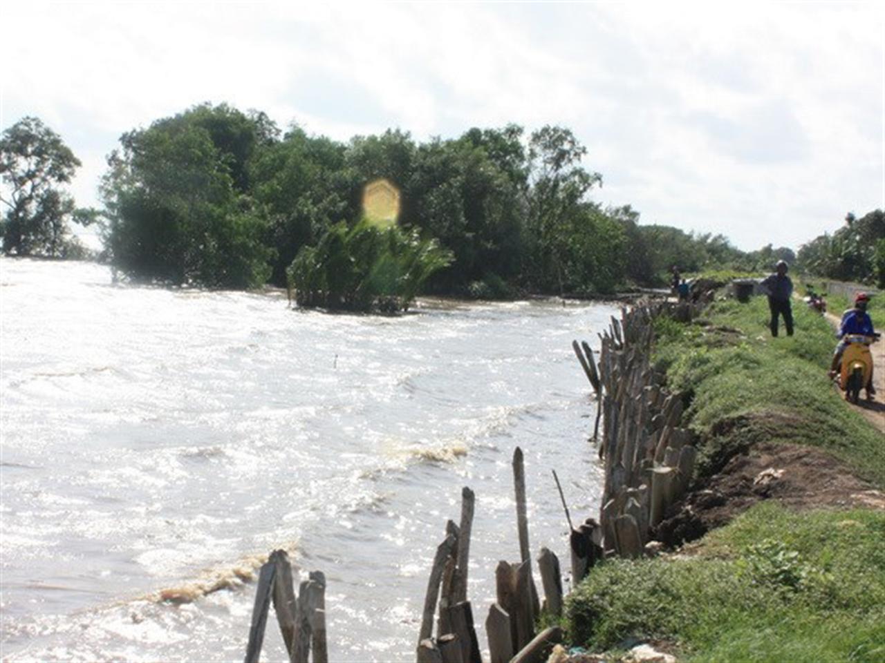Cảnh báo vùng Đồng bằng sông Cửu Long có thể chìm hoàn toàn