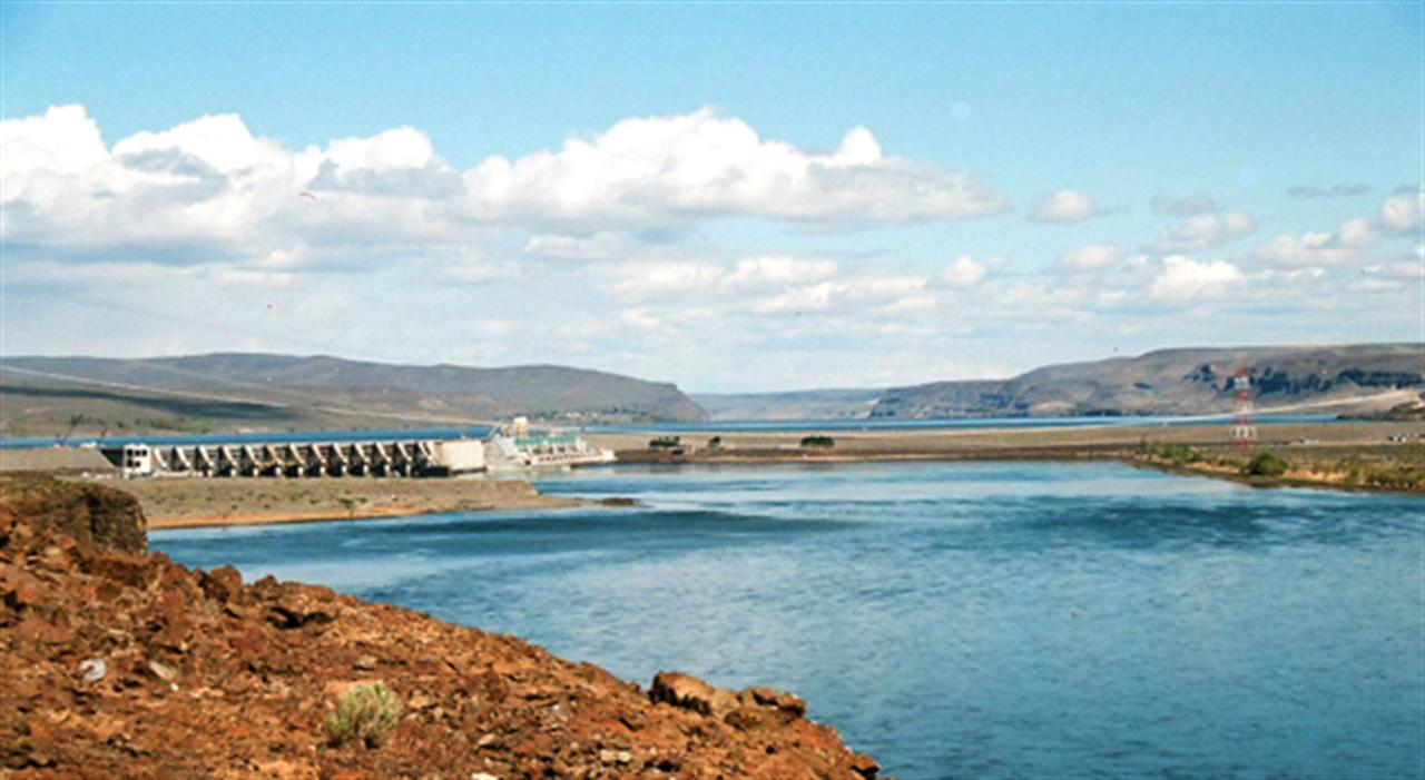 Xử lý chống thấm đập Wanapum bằng thanh chặn nước thế hệ mới