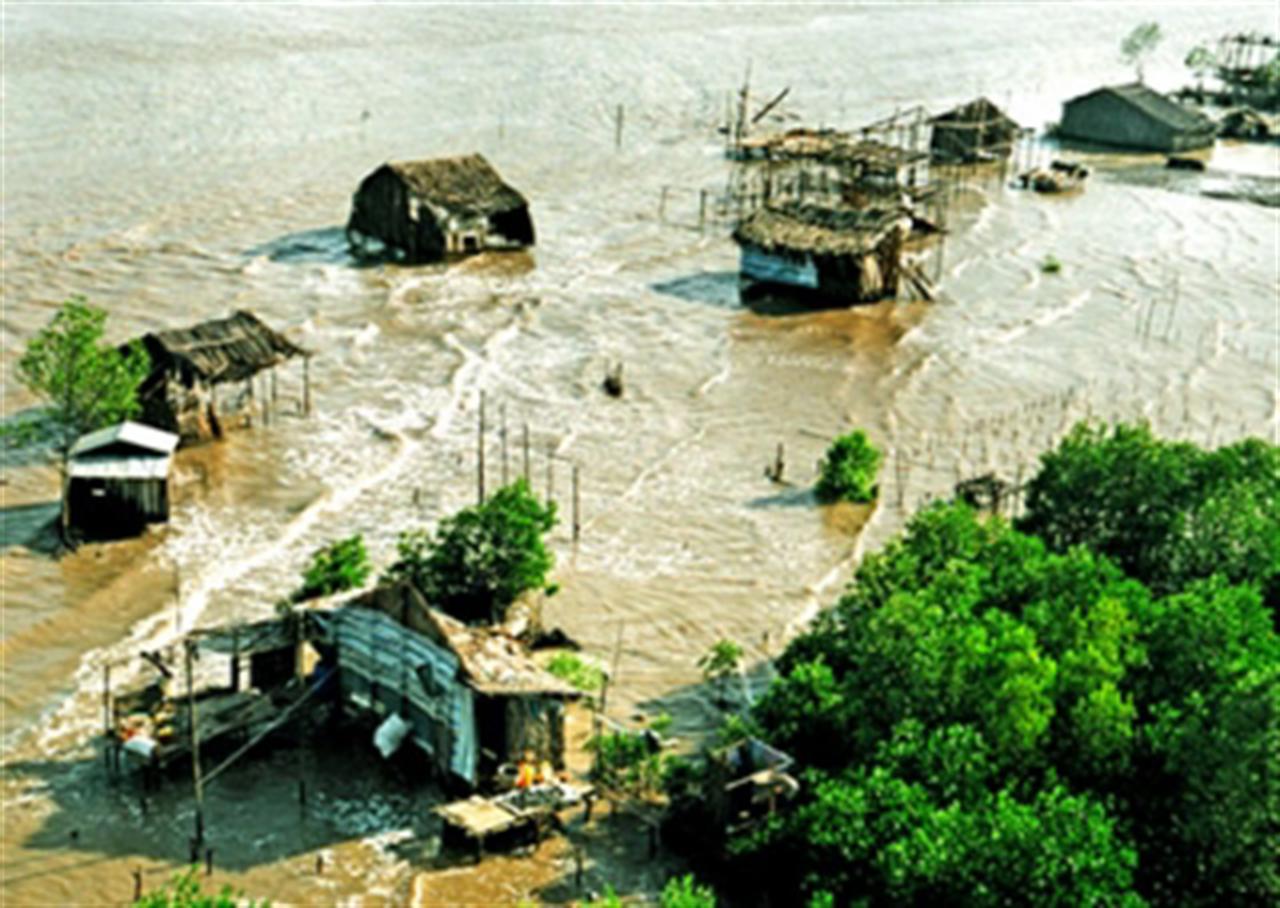 Biến đổi khí hậu thách thức ngành nông nghiệp