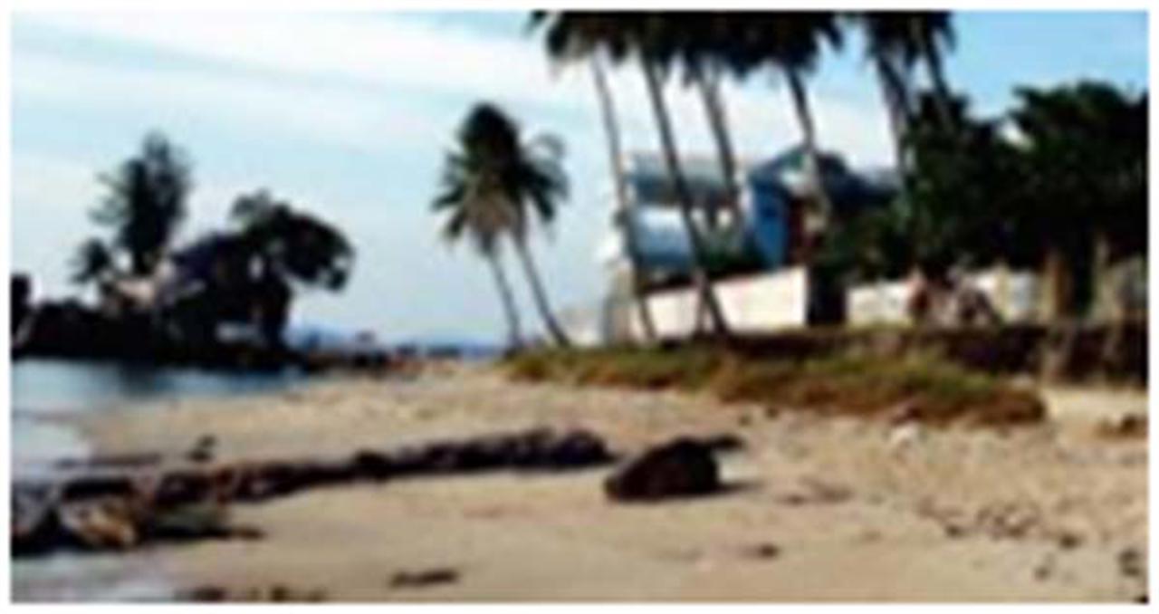 Kịch bản biến đổi khí hậu, nước biển dâng cho Việt Nam