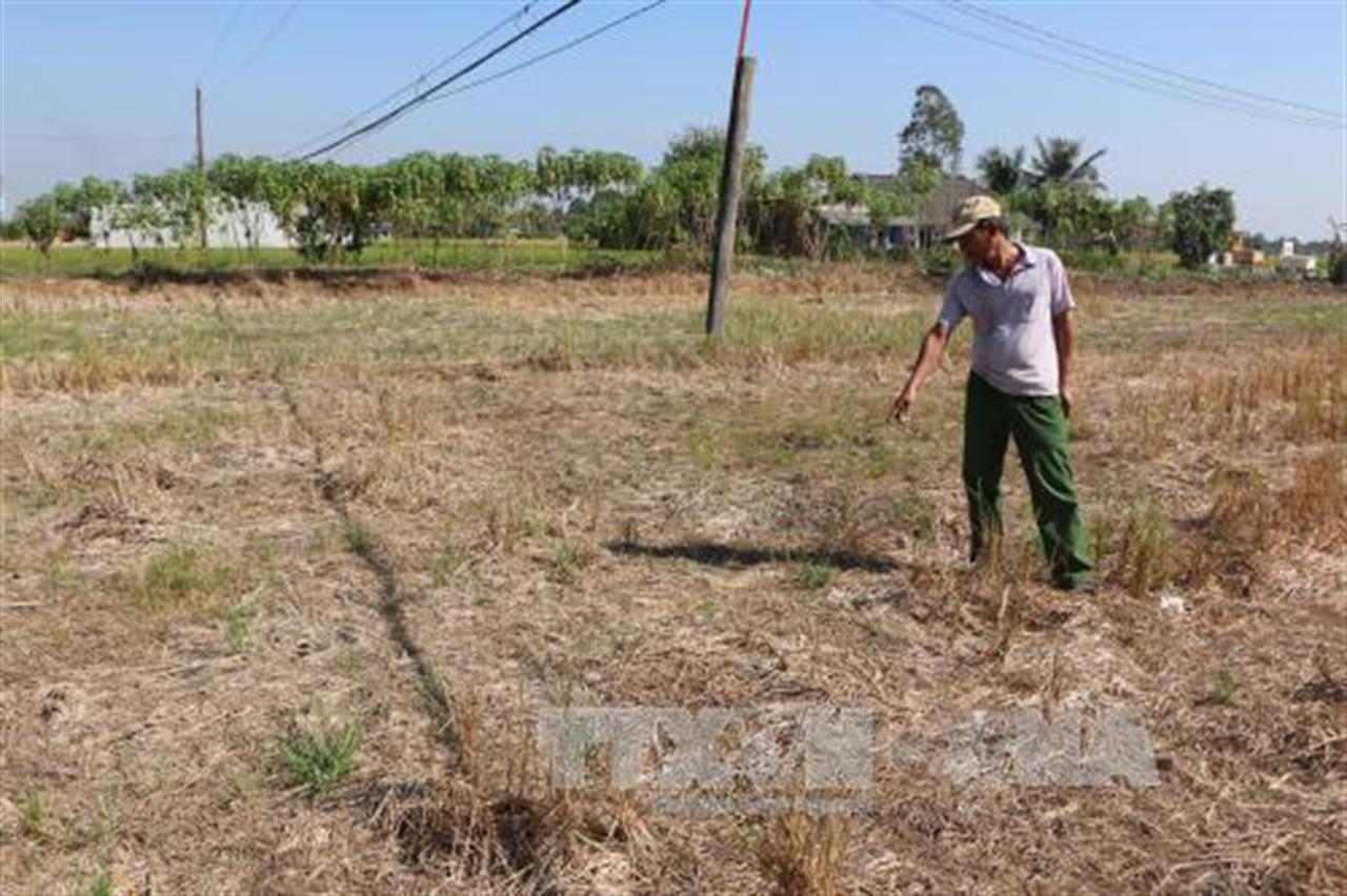 Hơn 2.000 tỷ đồng xây dựng công trình thủy lợi chống hạn