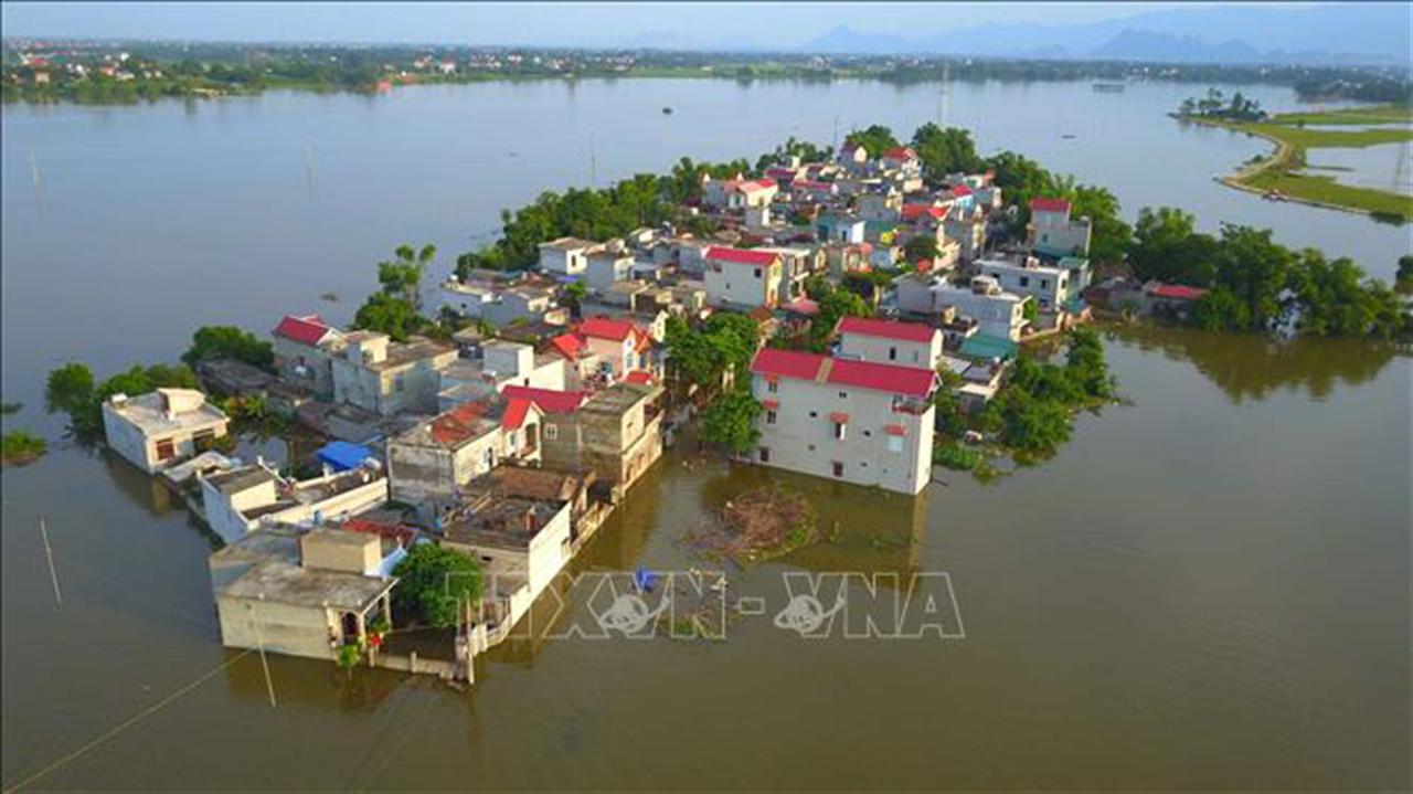 Hà Nội đẩy nhanh tiến độ dự án nông nghiệp trọng điểm