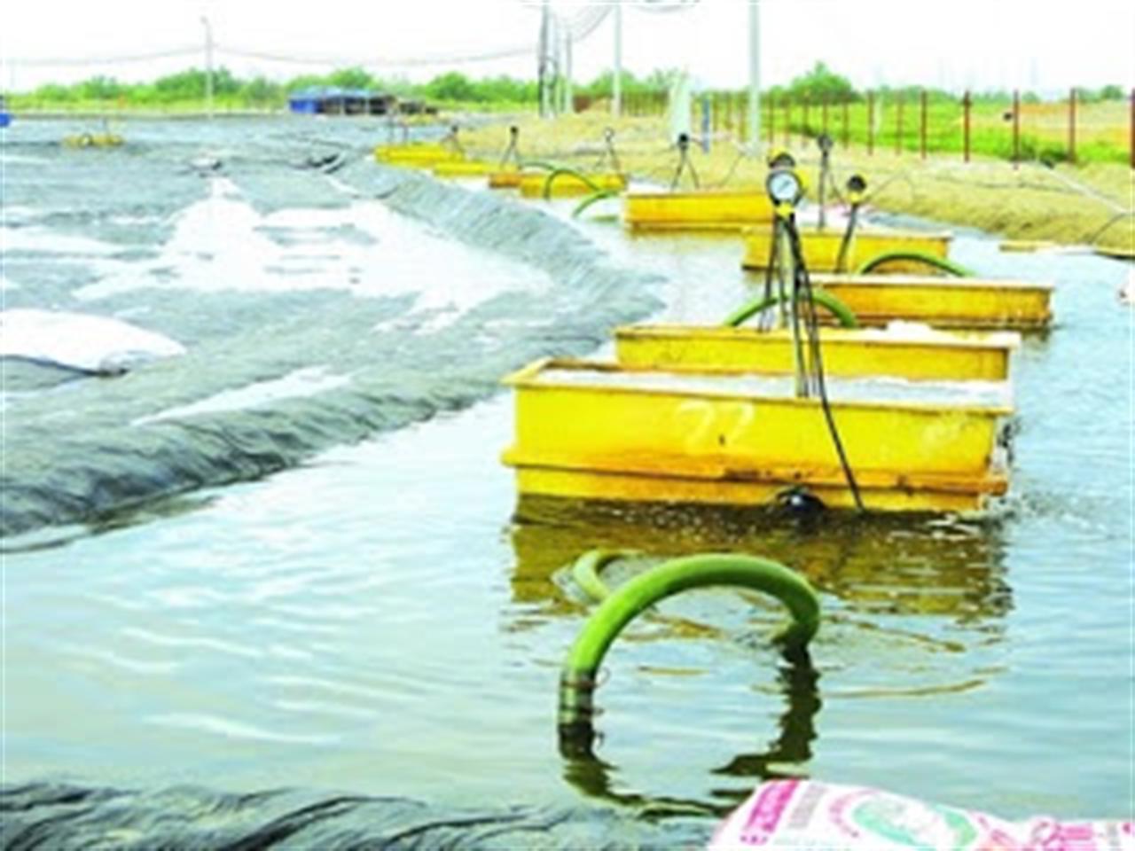 Xử lý nền đất yếu bằng phương pháp cố kết chân không