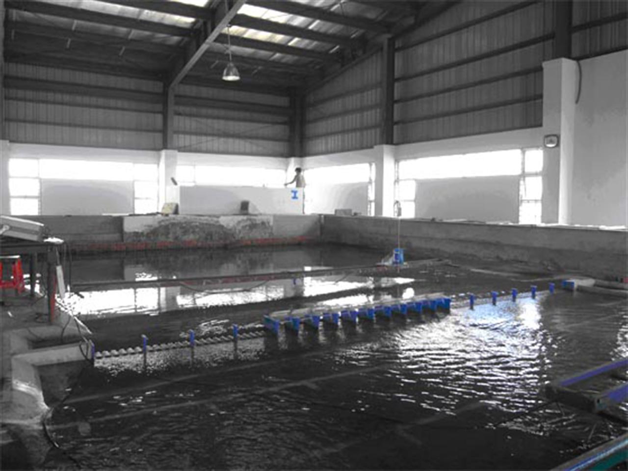 Tràn phím đàn và áp dụng ở đập dâng Văn Phong