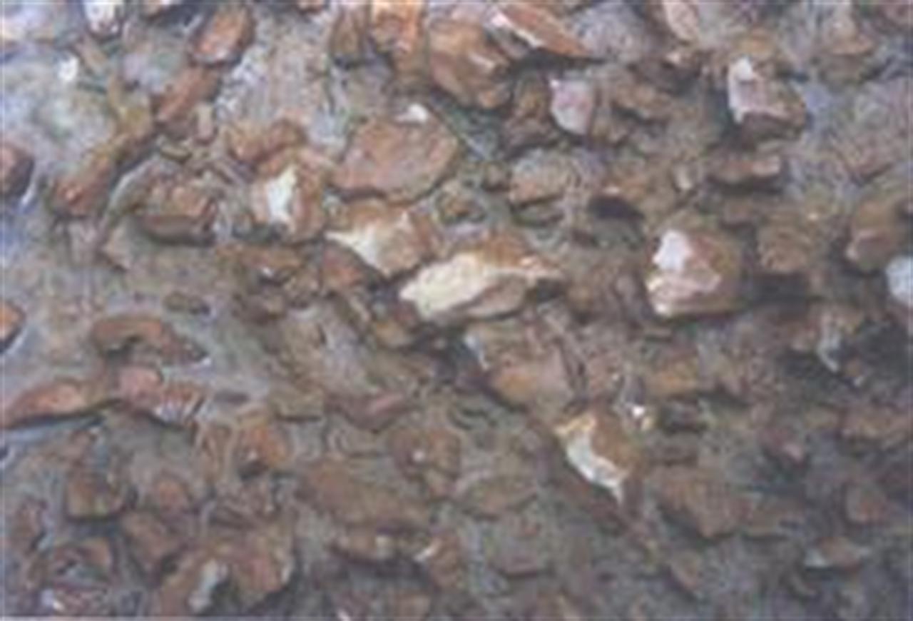 Nguyên nhân gây xâm thực bê tông và bê tông cốt thép công trình thủy lợi - Giải pháp khắc phục phòng ngừa