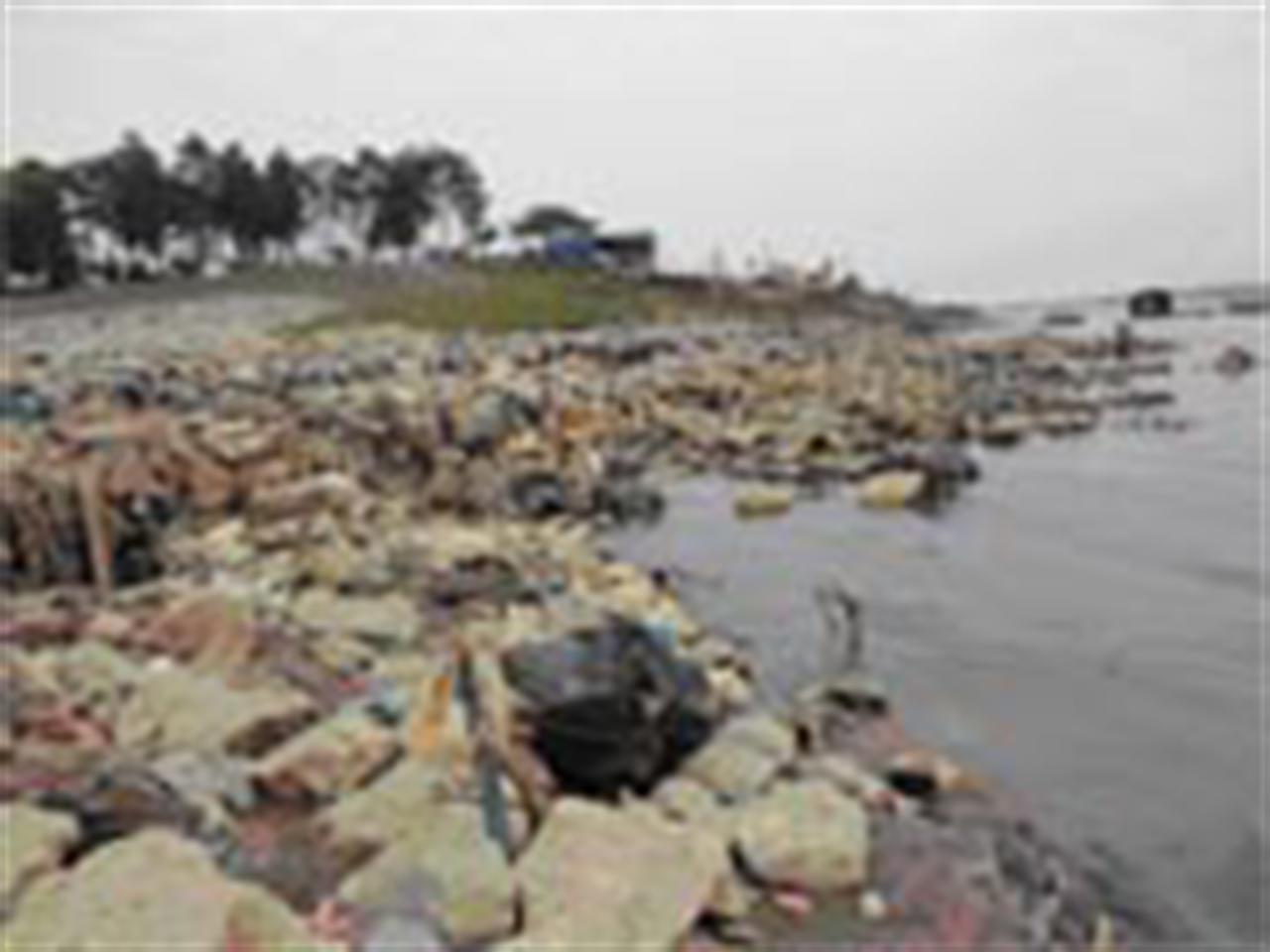 Cừ ván BTCT dự ứng lực - Ứng dụng để xử lý chống xói lở cửa ra kênh xả trạm bơm Yên sở (Hà Nội)